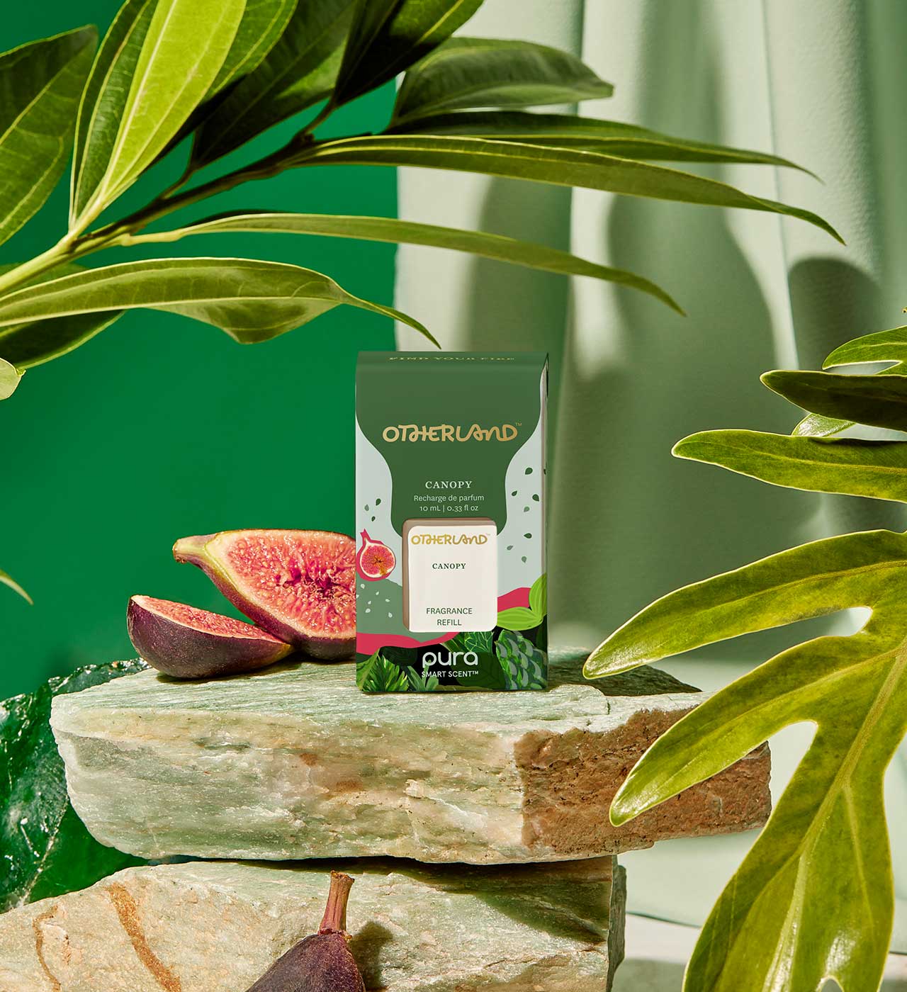 Otherland Organic Canopy tea package with figs on a stone surface surrounded by green leaves. - View 2